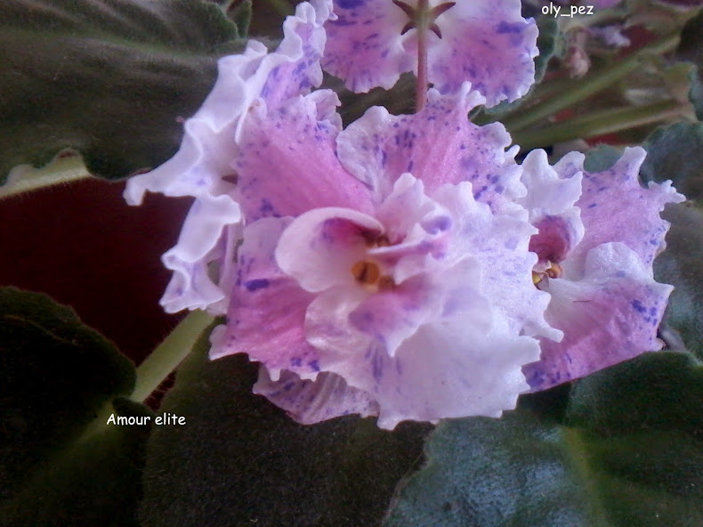 20141115_114218.jpg