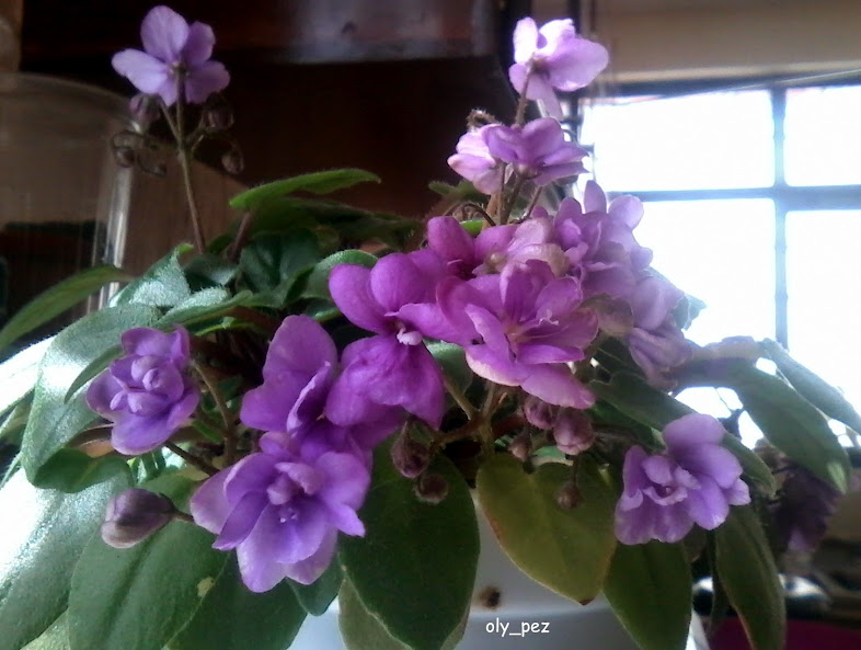 20141115_114414.jpg