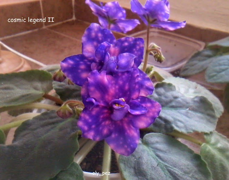 20141115_114442.jpg