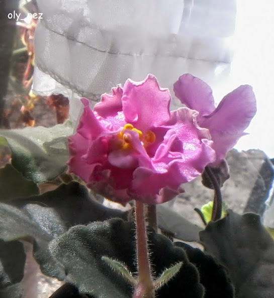 20141115_114551.jpg