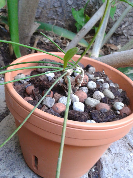 20141118_171907.jpg