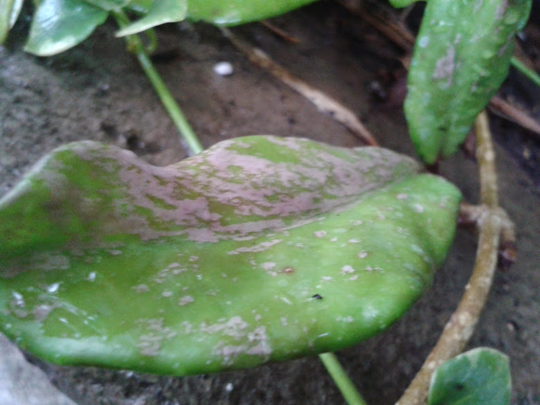 20141119_083413.jpg