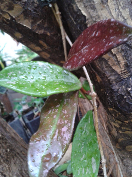 20141119_083429.jpg