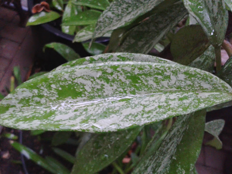 20141119_083553.jpg