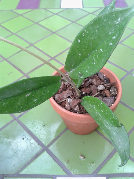 20141120_170515.jpg