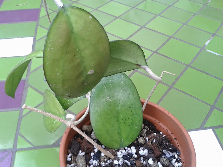 20141120_170800.jpg
