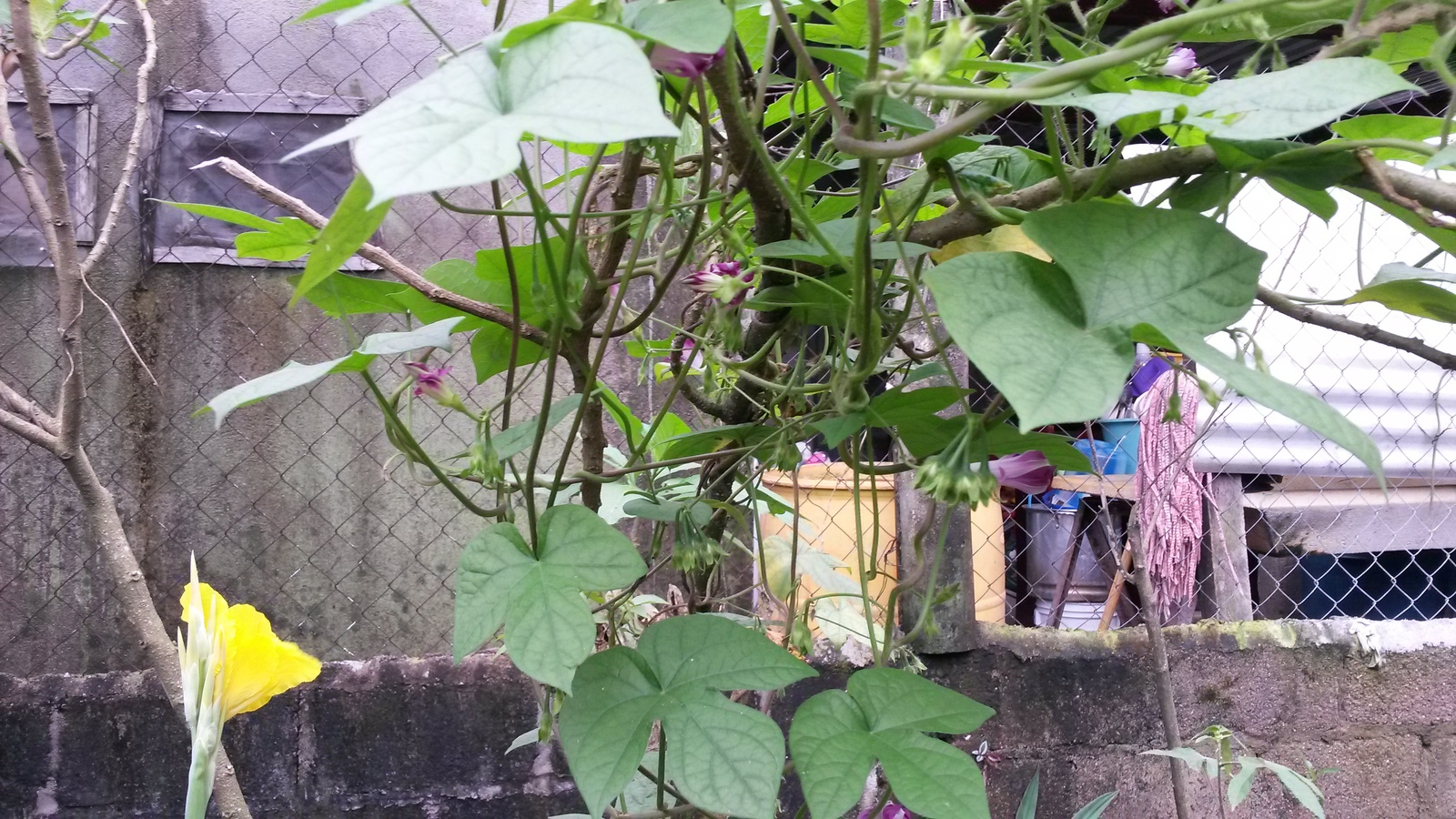 20141125_132019.jpg