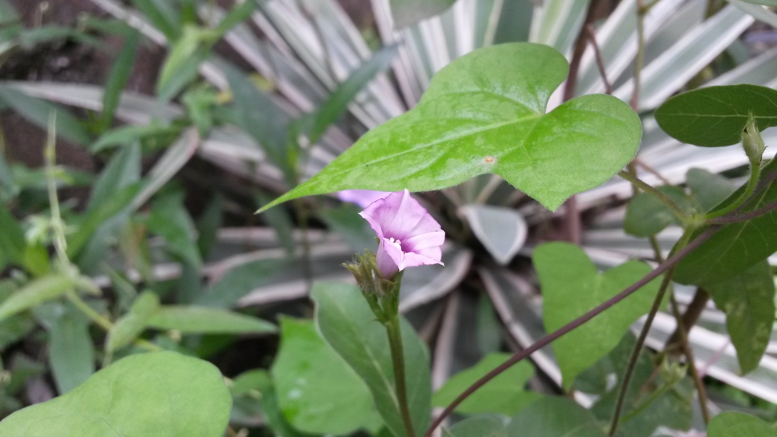 20141127_133141.jpg