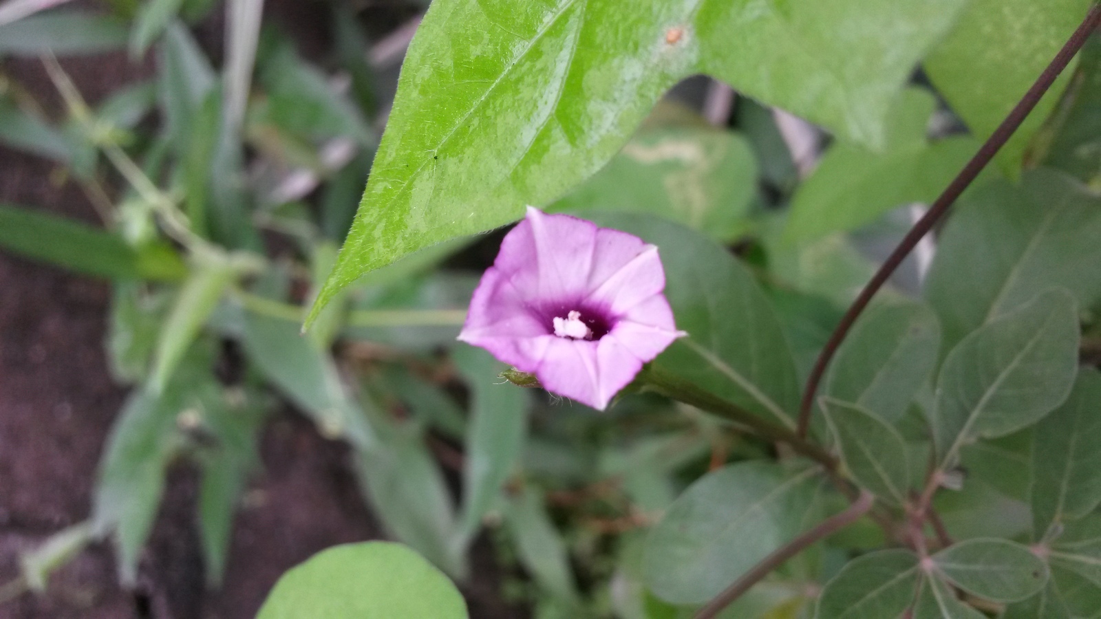 20141127_133148.jpg