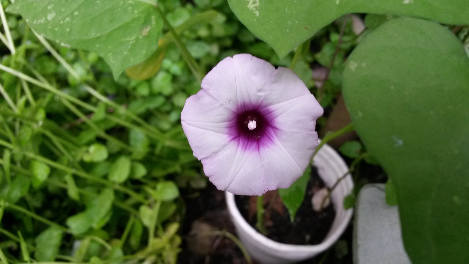 20141127_133609.jpg