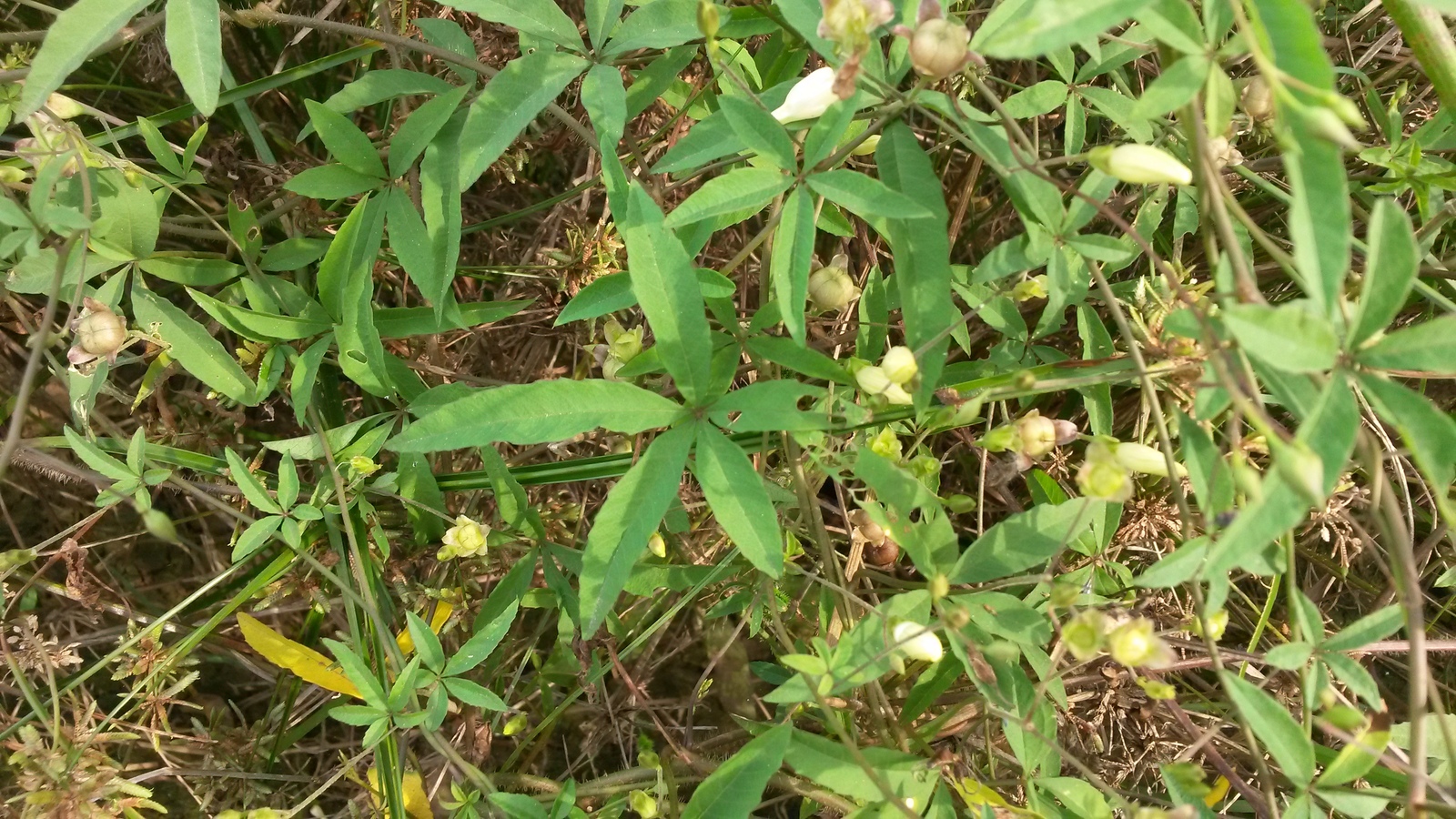 20141207_100220.jpg