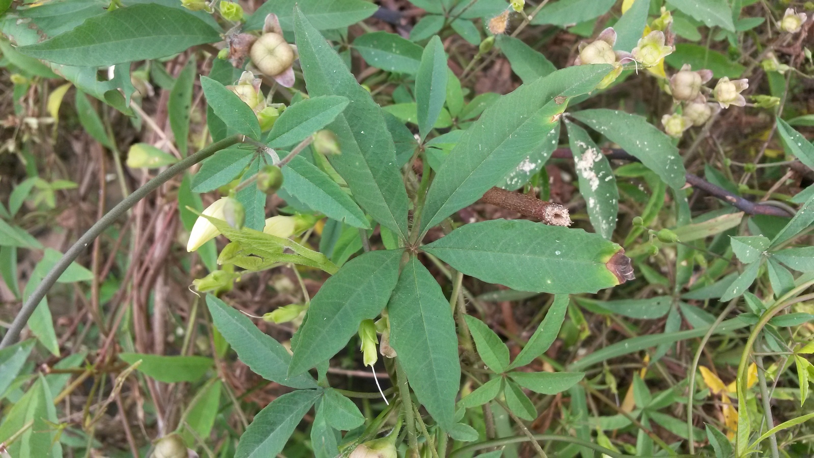 20141207_100249.jpg