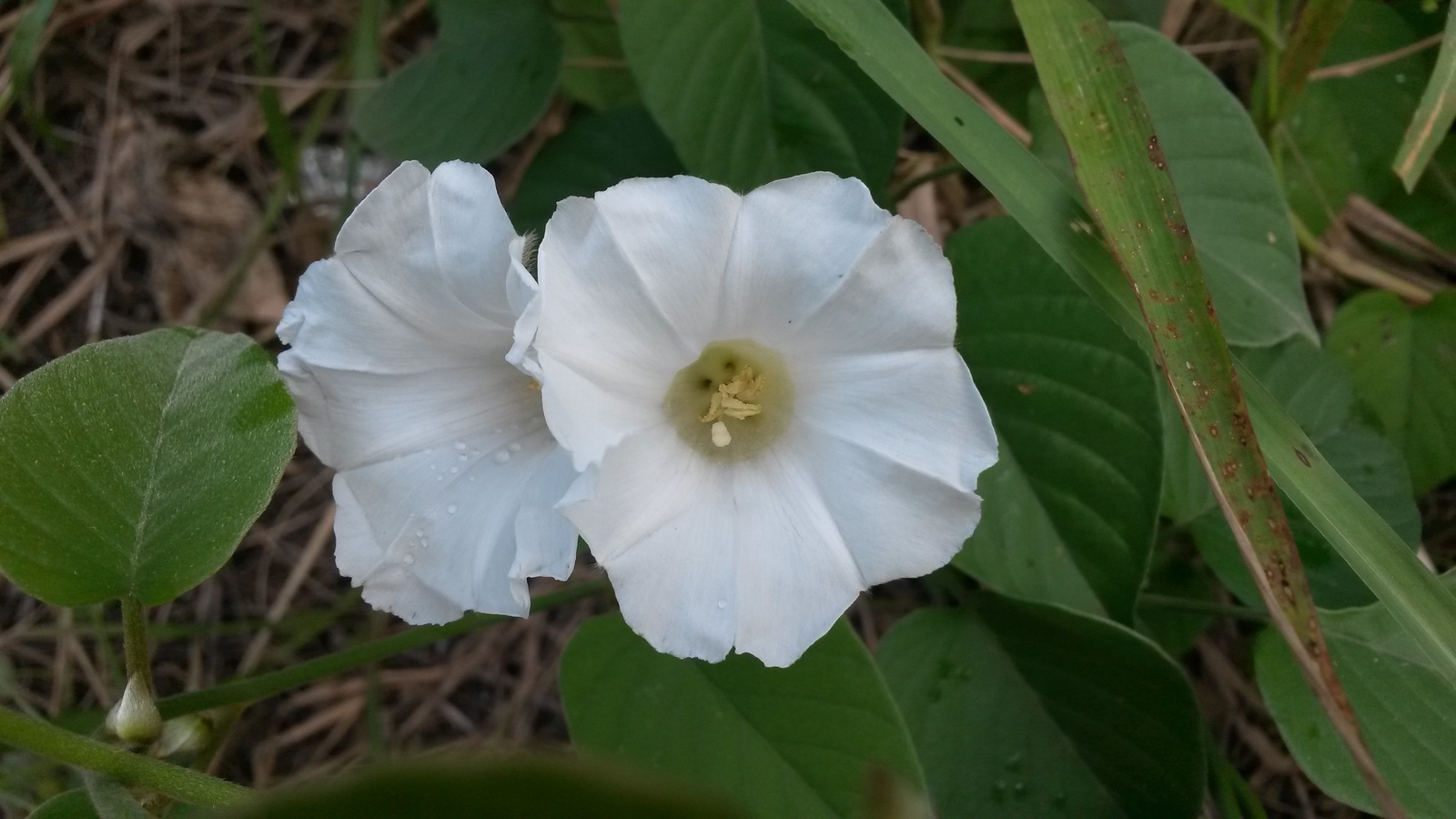 20141207_102805.jpg