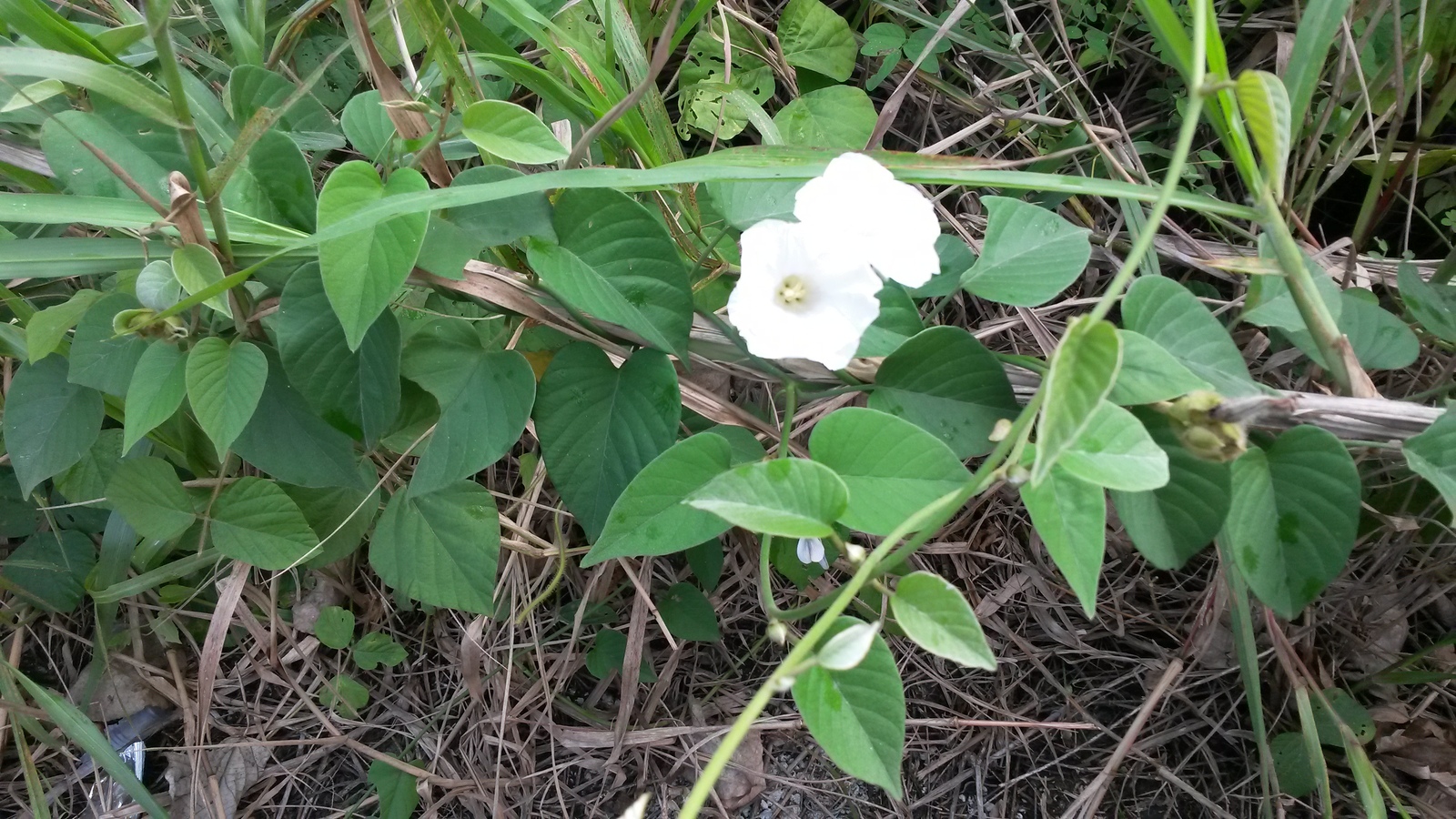20141207_102824.jpg