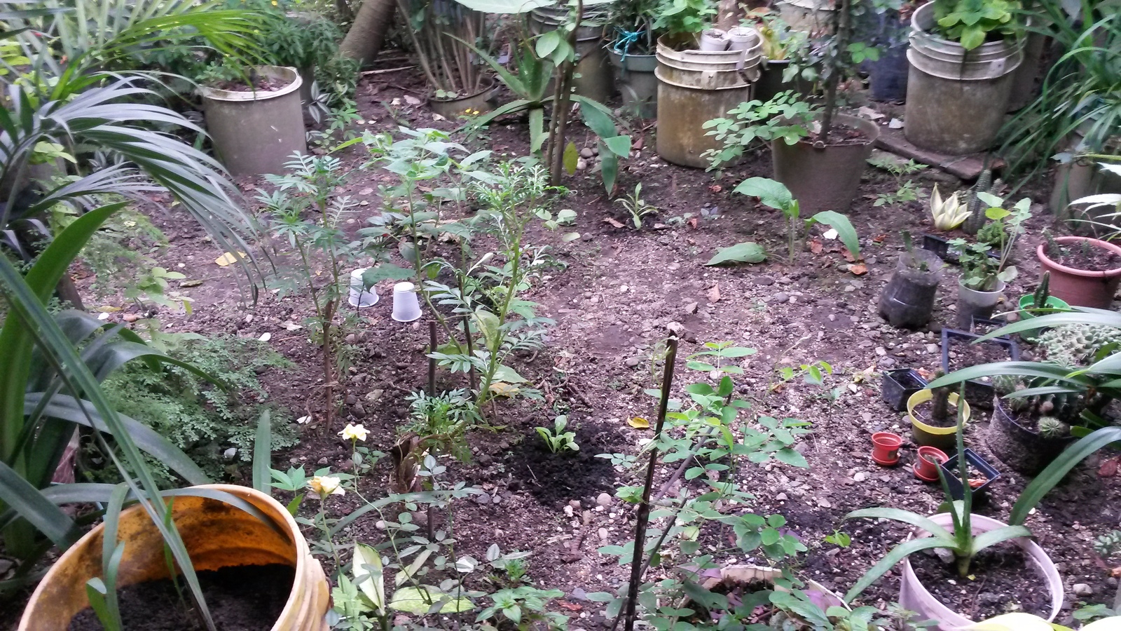 20141207_130451.jpg