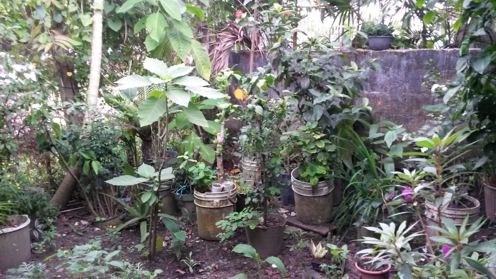 20141207_130455.jpg