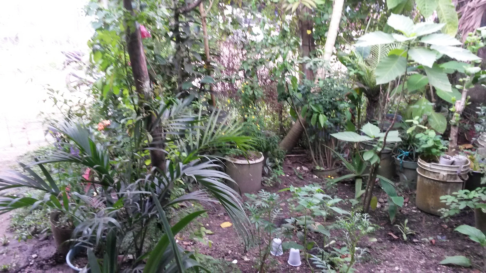 20141207_130458.jpg