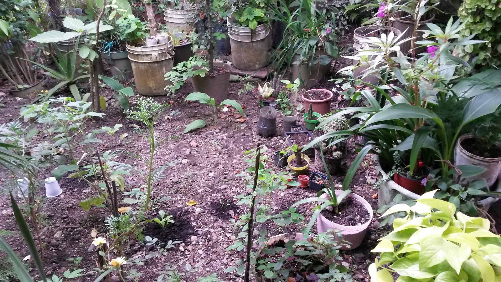 20141207_130504.jpg