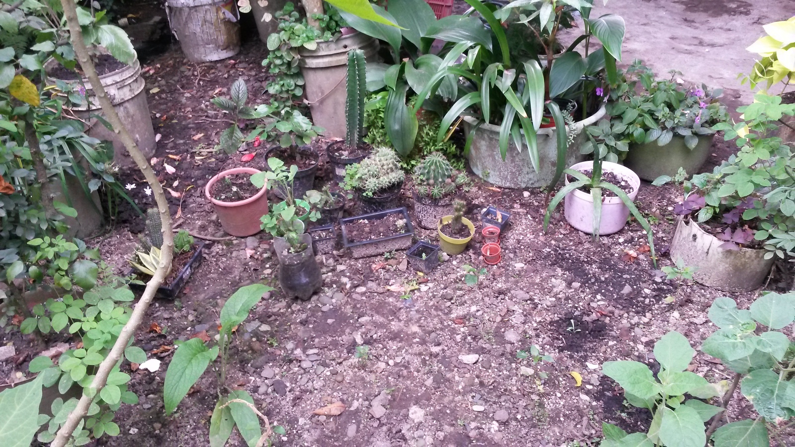 20141207_130515.jpg
