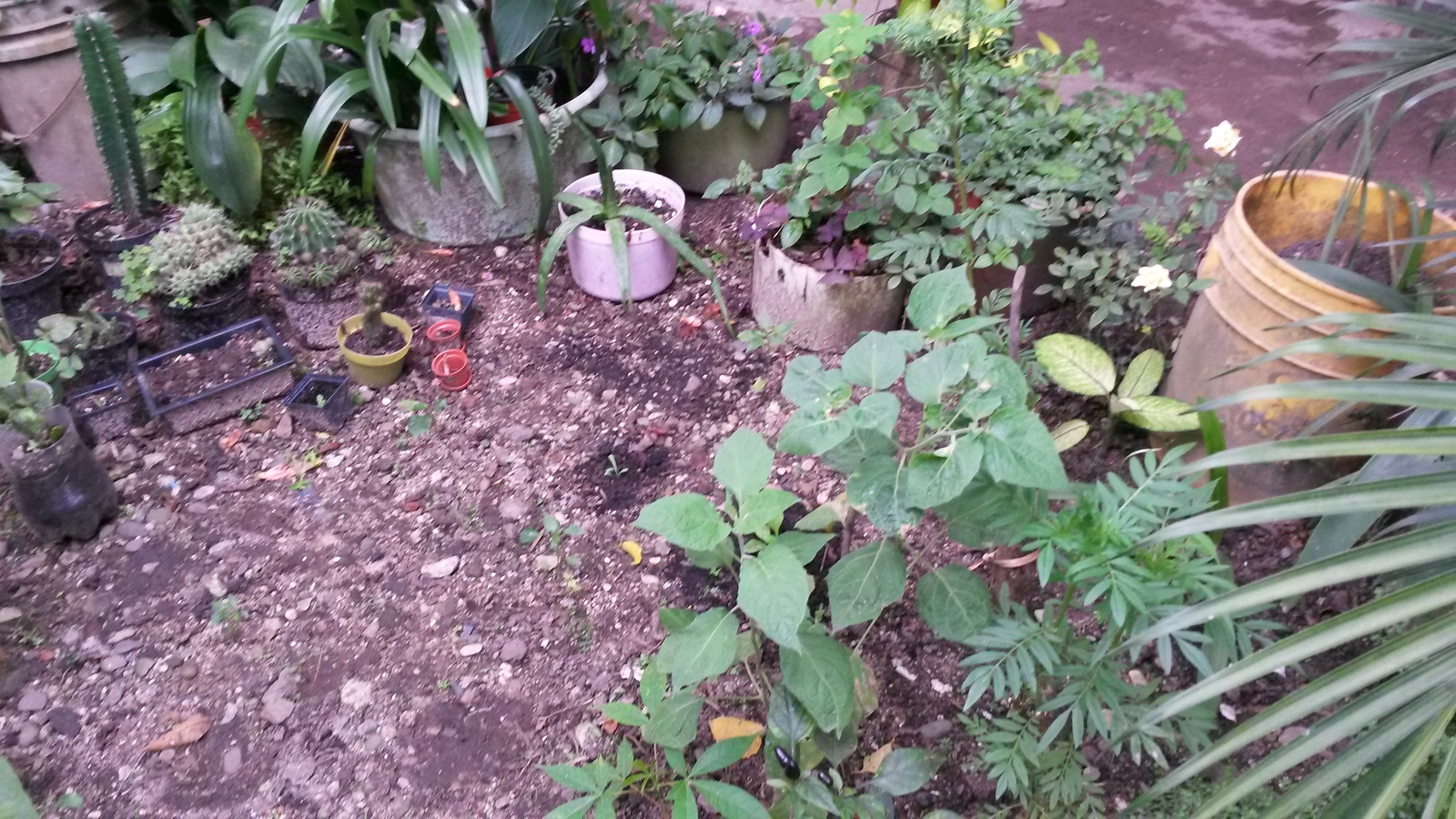 20141207_130518.jpg