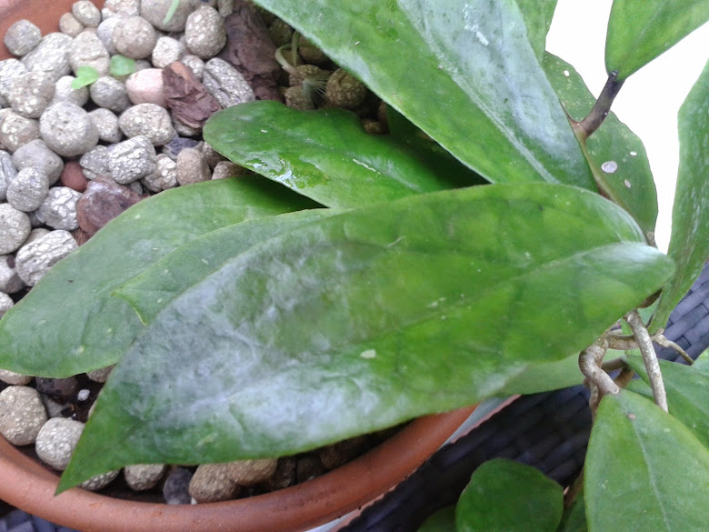 20141209_105541.jpg