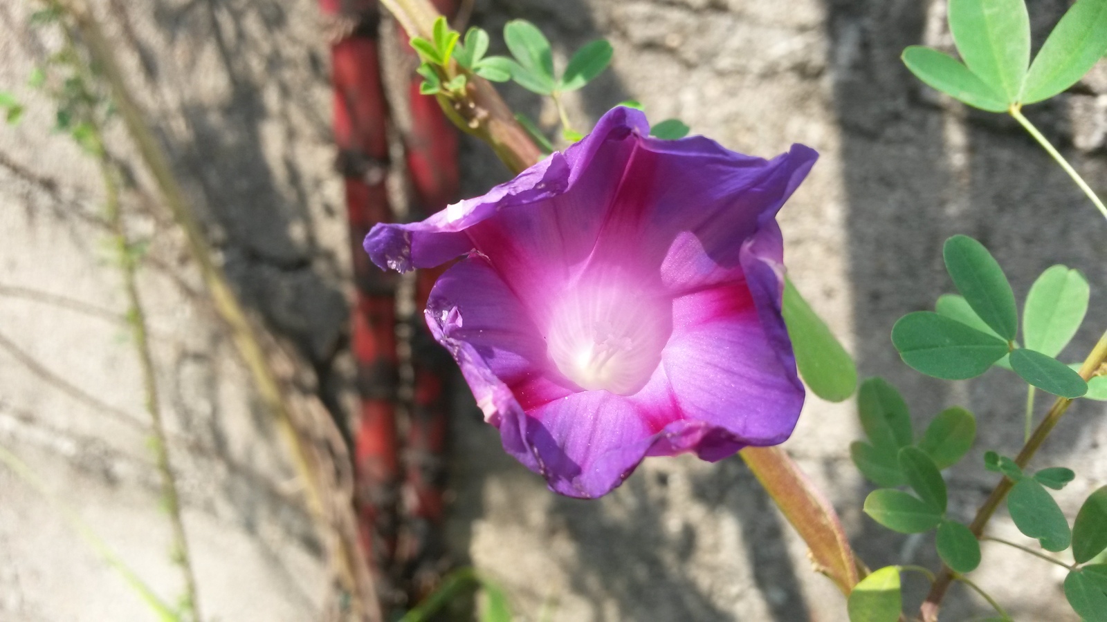 20141213_112053.jpg