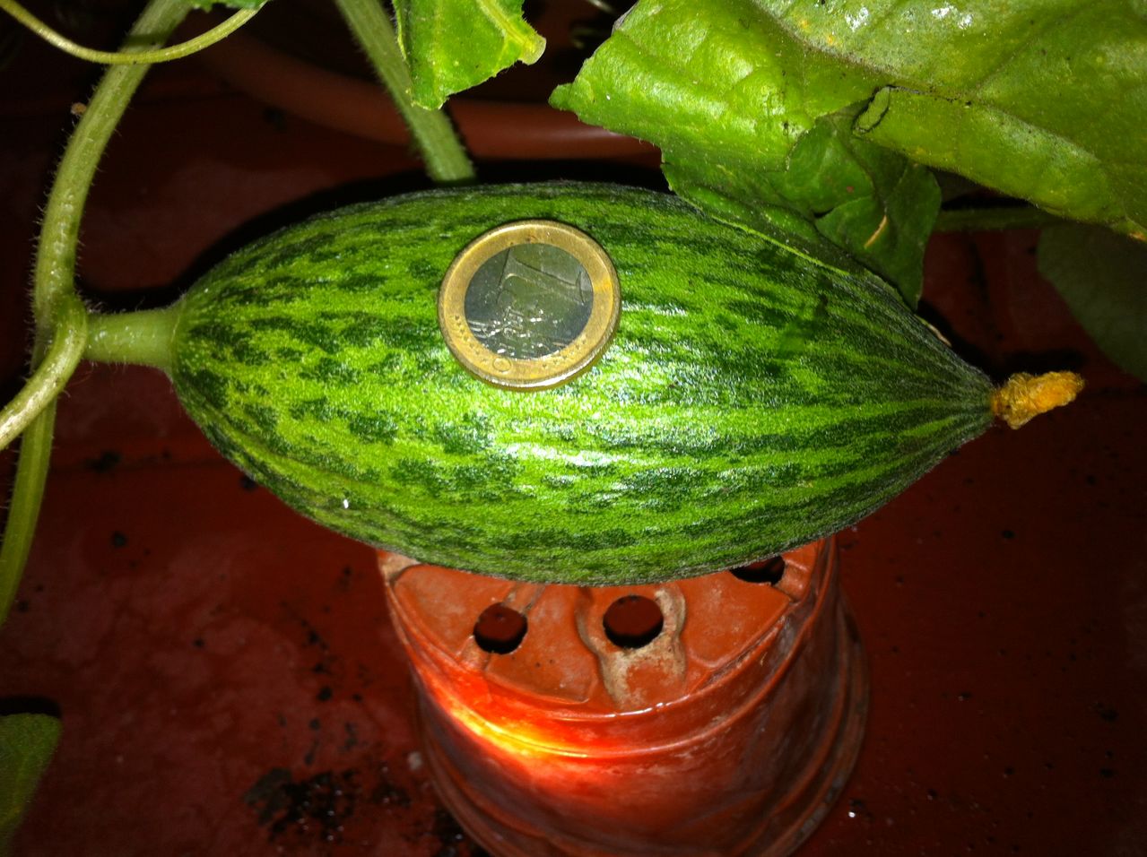 2014_07_06_23_53_36.jpg