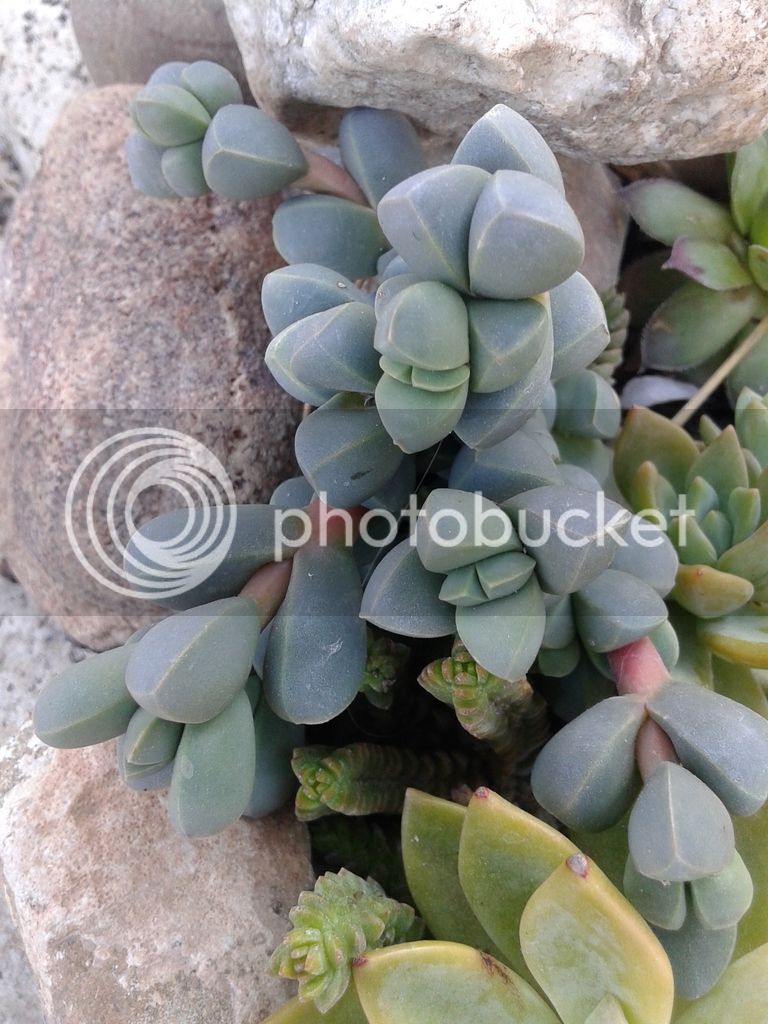 2015-04-07%2019.28.03.jpg