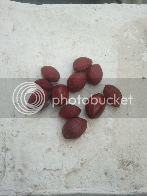 2015-04-28%2020.14.14_zpsvzm4evtf.jpg