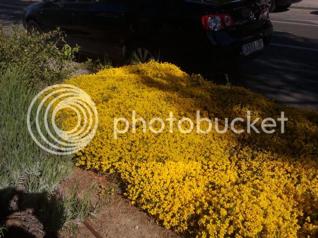 2015-05-07%2017.59.03_zpsm7fbacj5.jpg