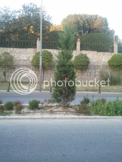 2015-05-07%2021.04.11_zps8ssur5wz.jpg