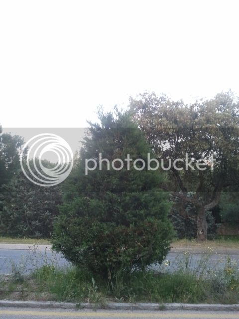 2015-05-07%2021.06.08_zpskbwugajq.jpg