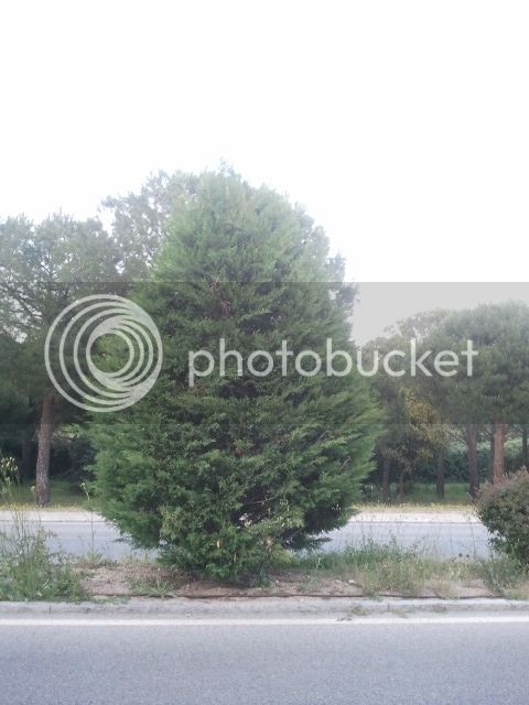 2015-05-07%2021.06.45_zpstqgr0zoh.jpg