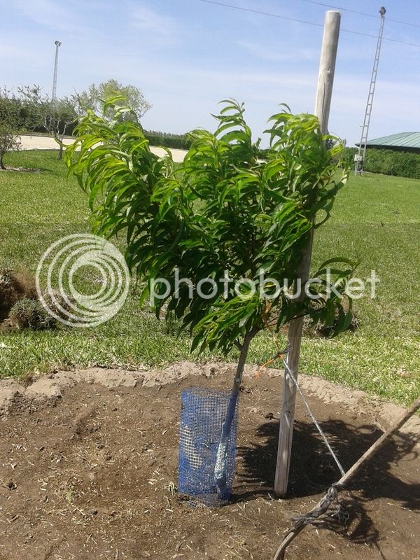 2015-05-10%2016.34.46_zpss1sdmkhr.jpg