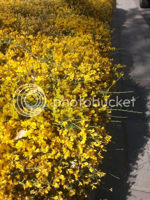 2015-05-10%2018.14.17_zpsxf8cpv6g.jpg