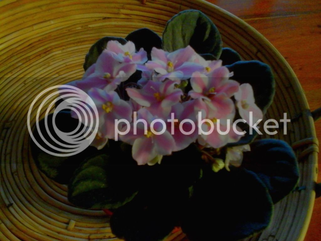 2015-09-29%2018.46.17_zpsydqcvfde.jpg