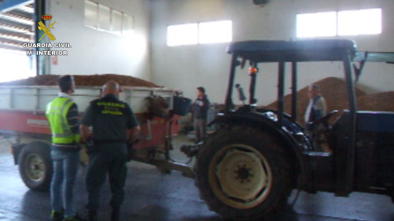 2015-11-13_Op_Amande_01.jpg