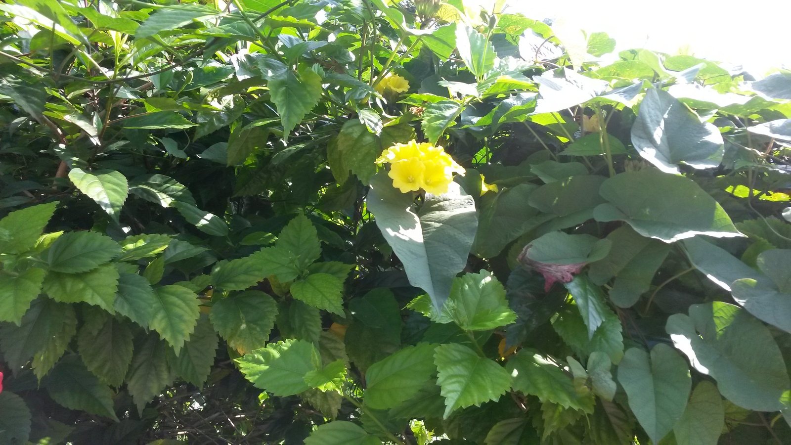 20150103_104440.jpg