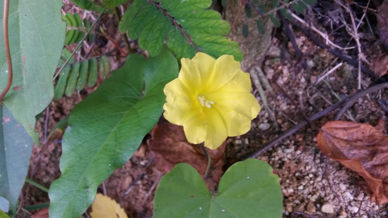 20150103_104511.jpg