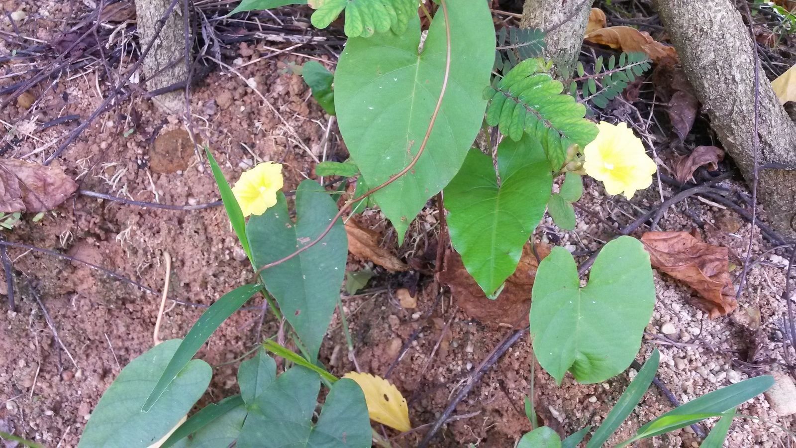 20150103_104518.jpg