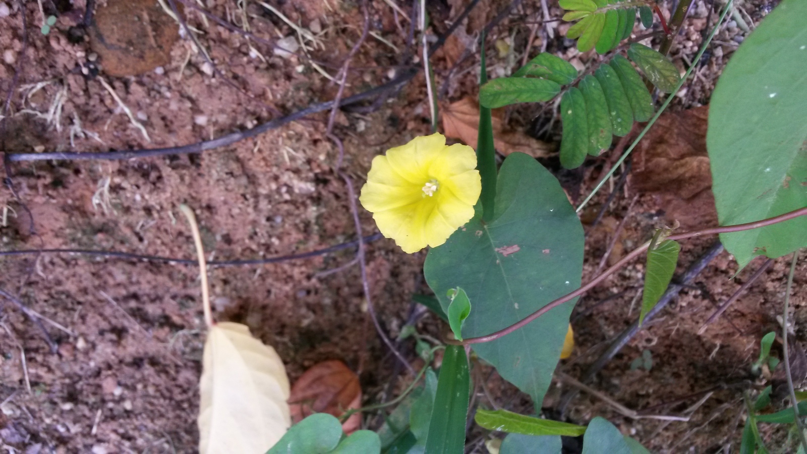 20150103_104525.jpg