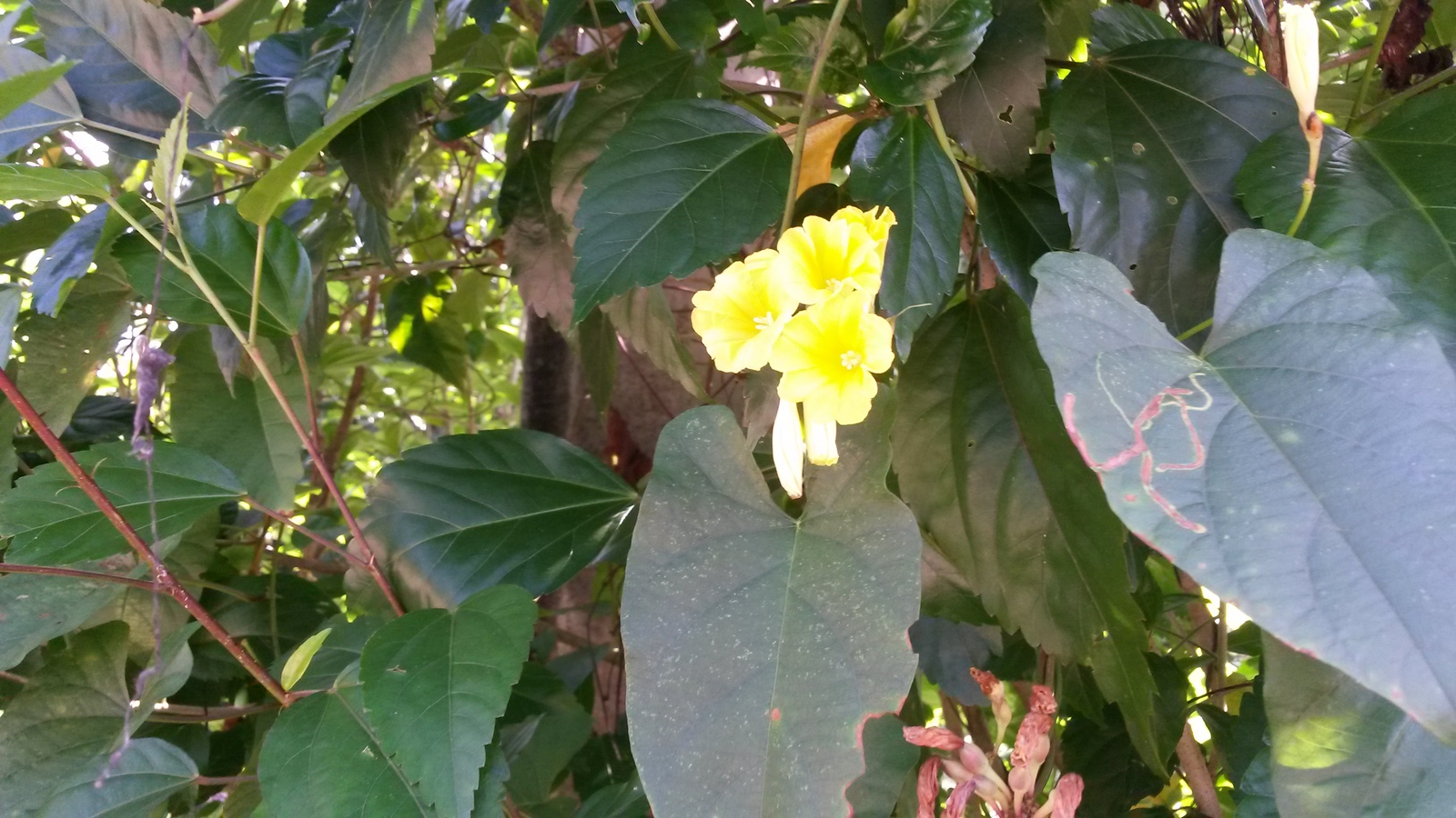20150103_104554.jpg