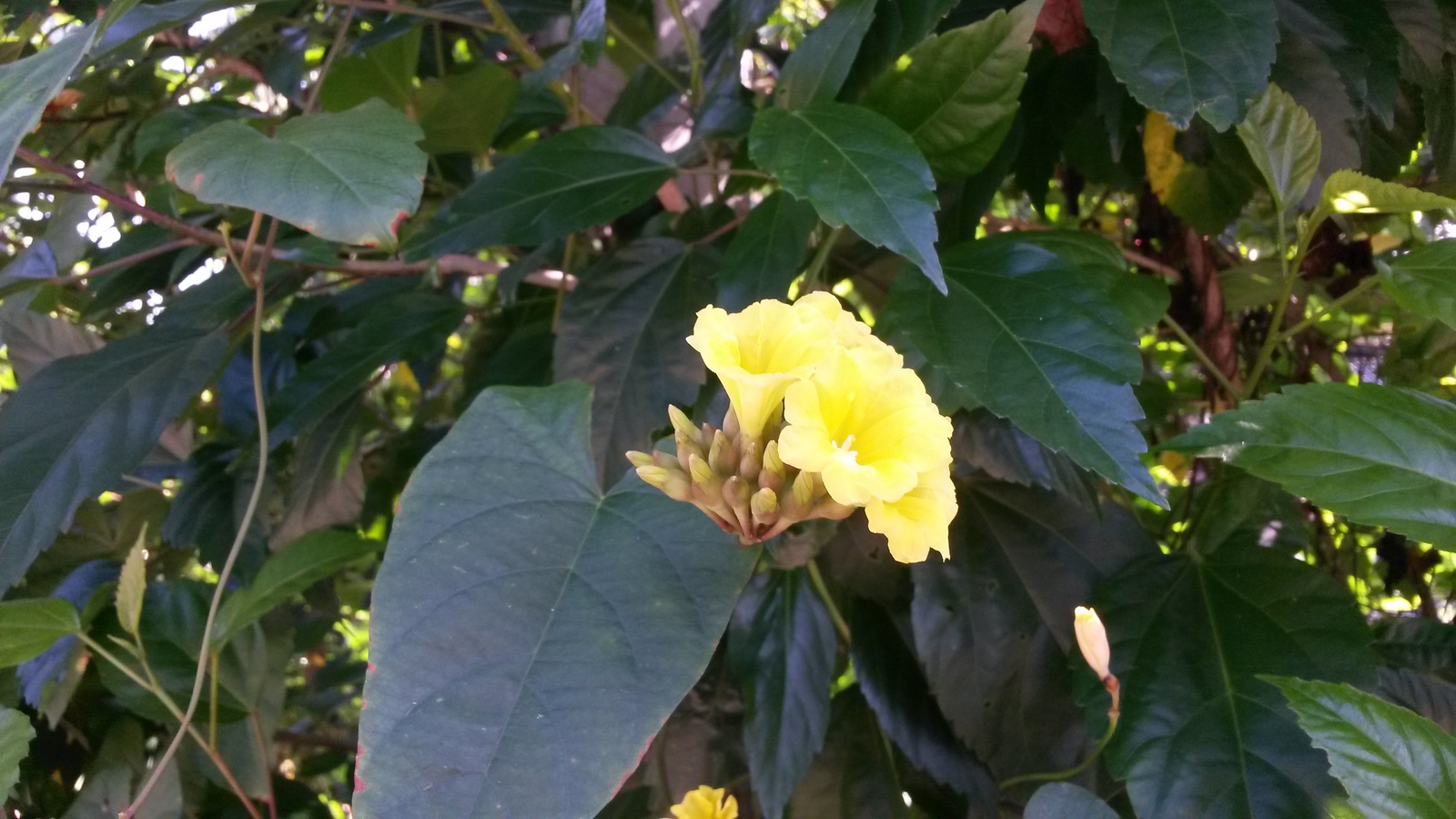 20150103_104558.jpg