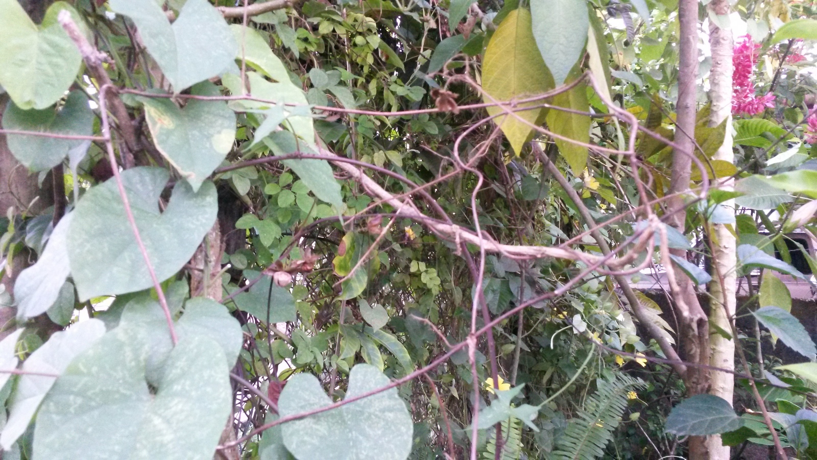 20150107_174048.jpg