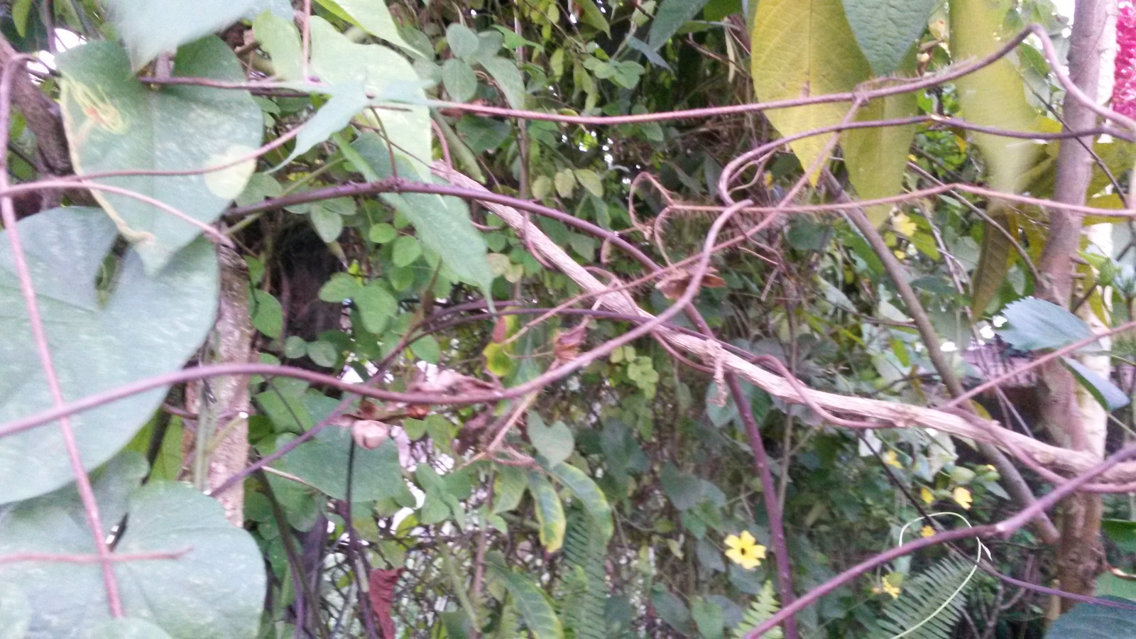 20150107_174107.jpg