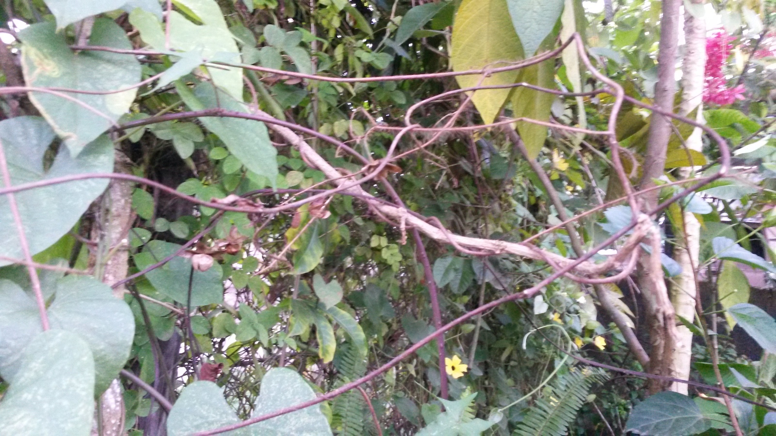 20150107_174116.jpg