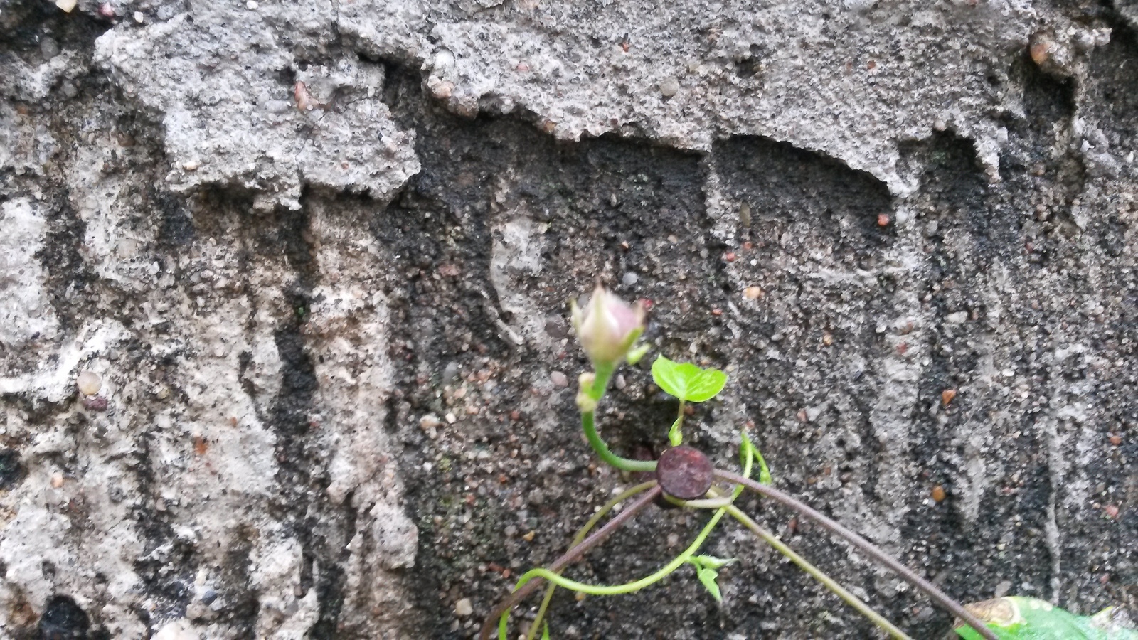 20150109_145721.jpg