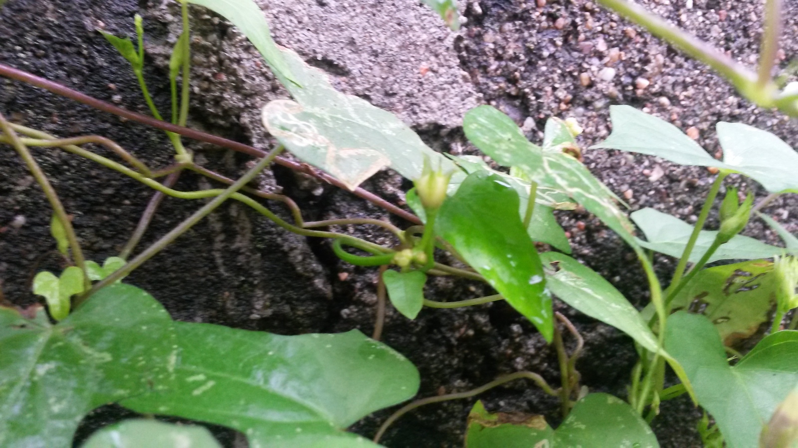 20150109_145751.jpg