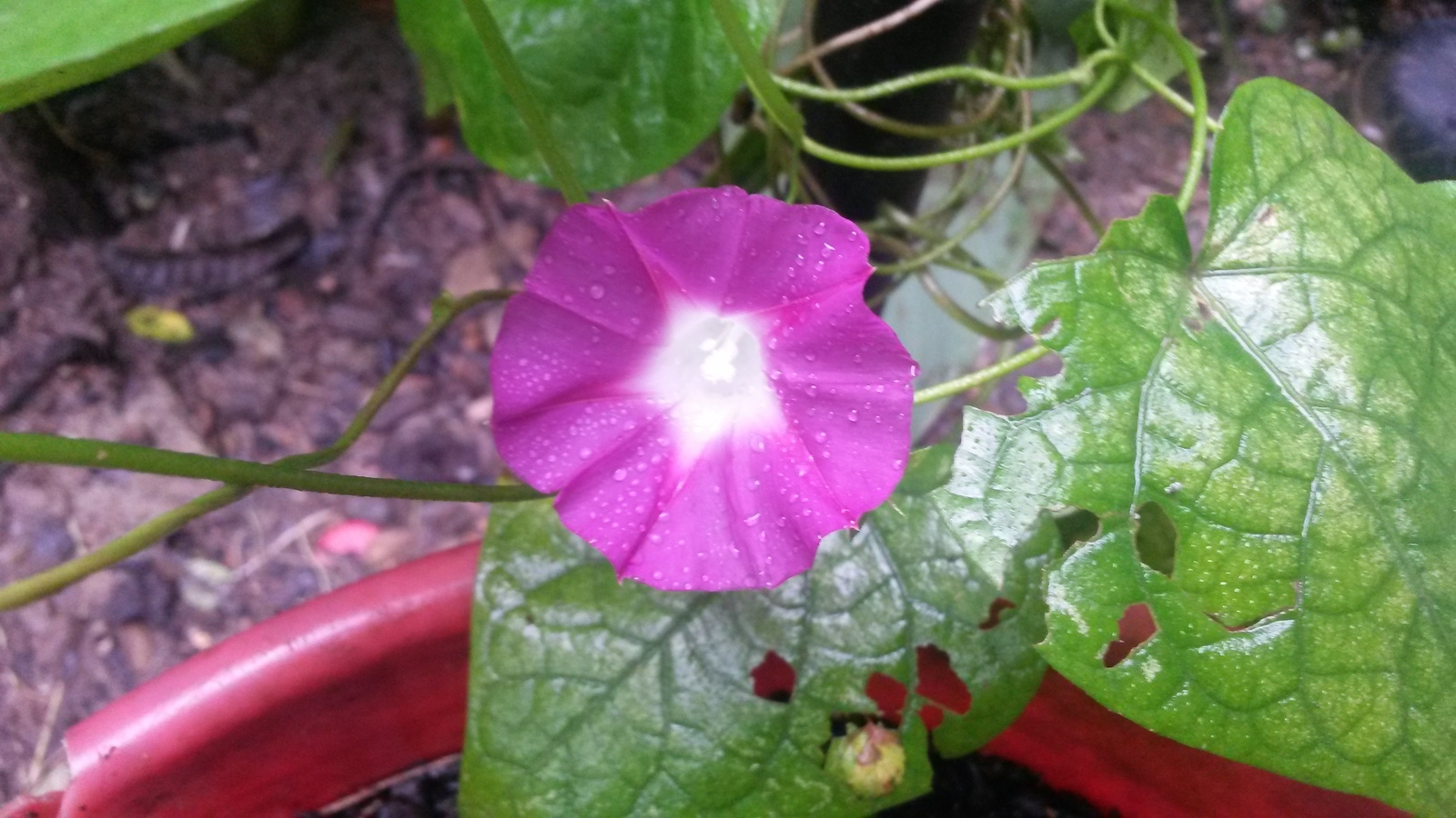 20150117_140437.jpg