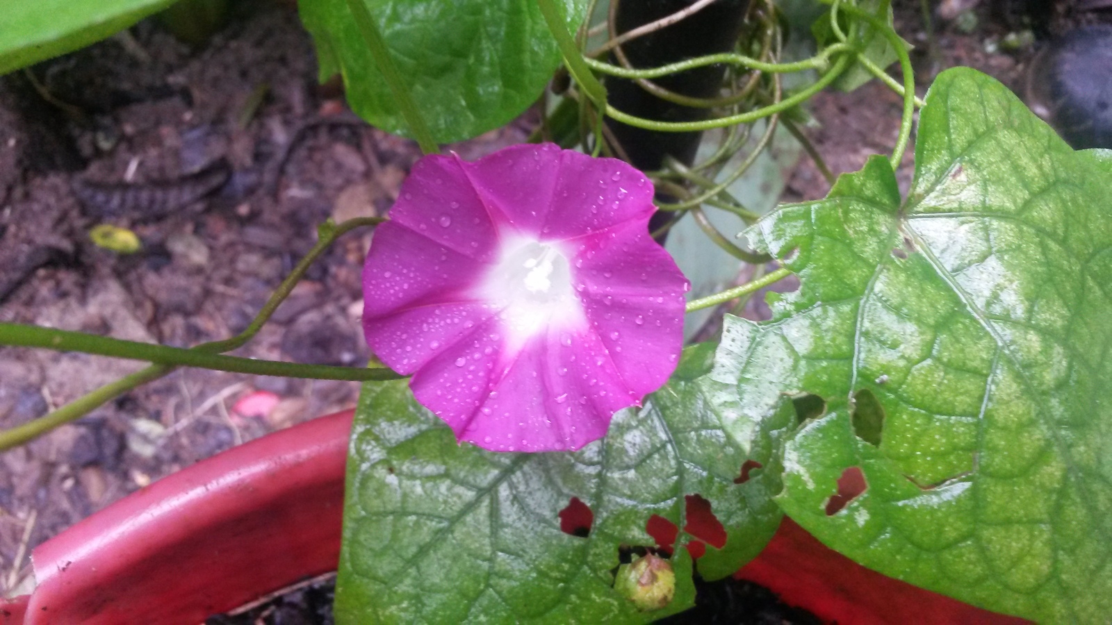 20150117_140441.jpg